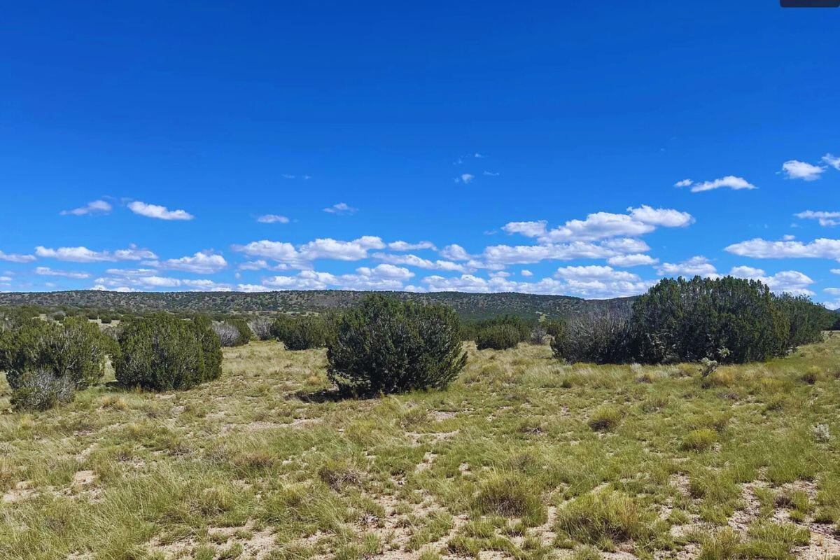 Deep 2 Trees Corner - 764 S WEDGEWOOD DR WILLIAMS, AZ 86046