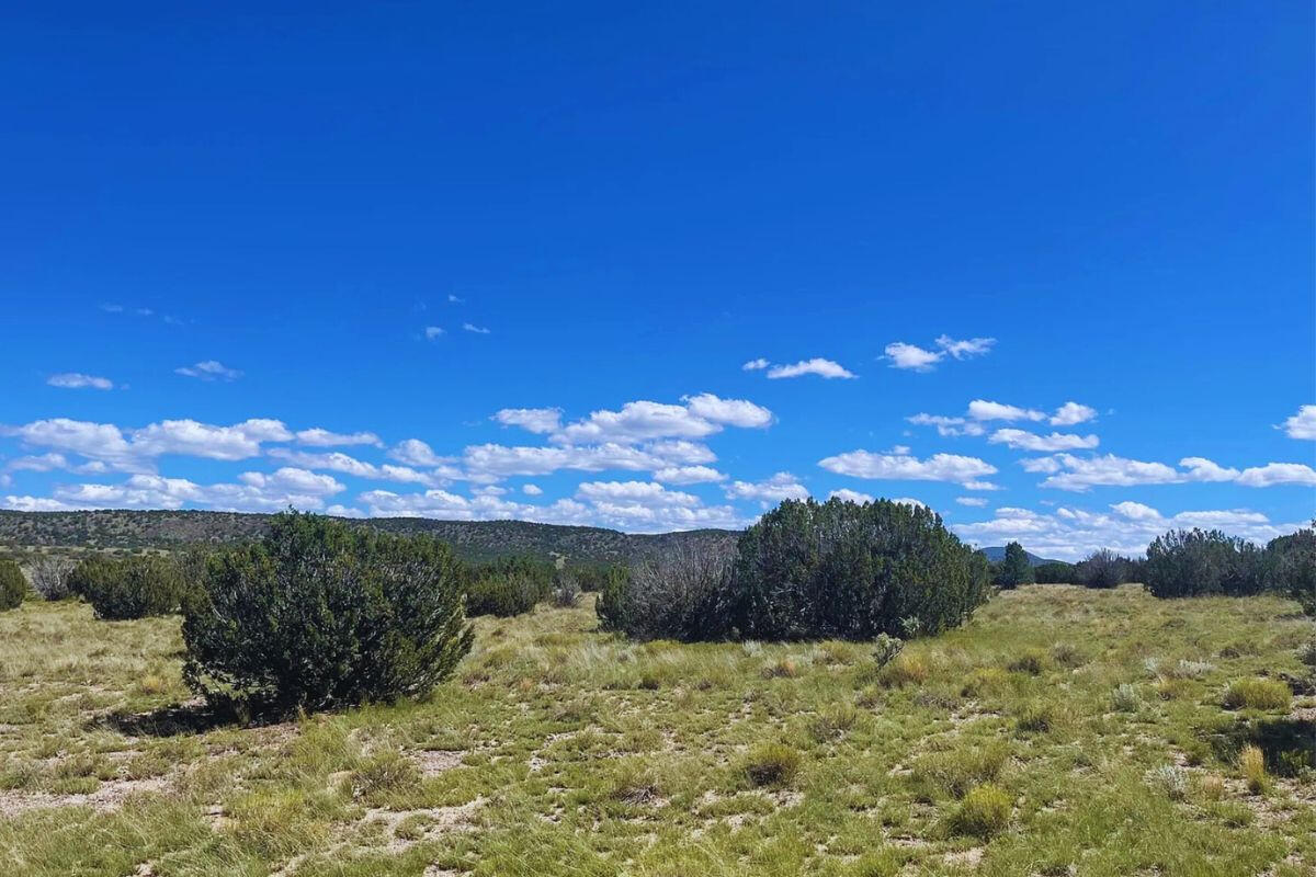 Deep 2 Trees Corner - 764 S WEDGEWOOD DR WILLIAMS, AZ 86046