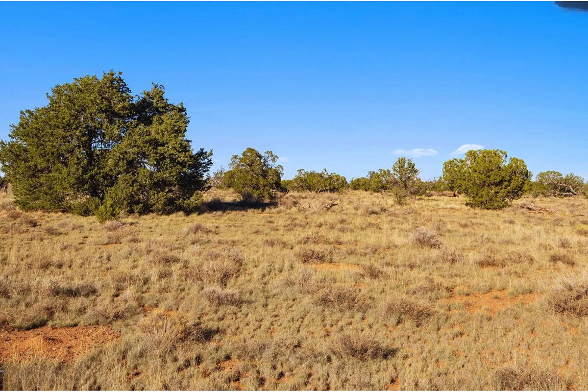 Deep 2 Trees Corner - 764 S WEDGEWOOD DR WILLIAMS, AZ 86046