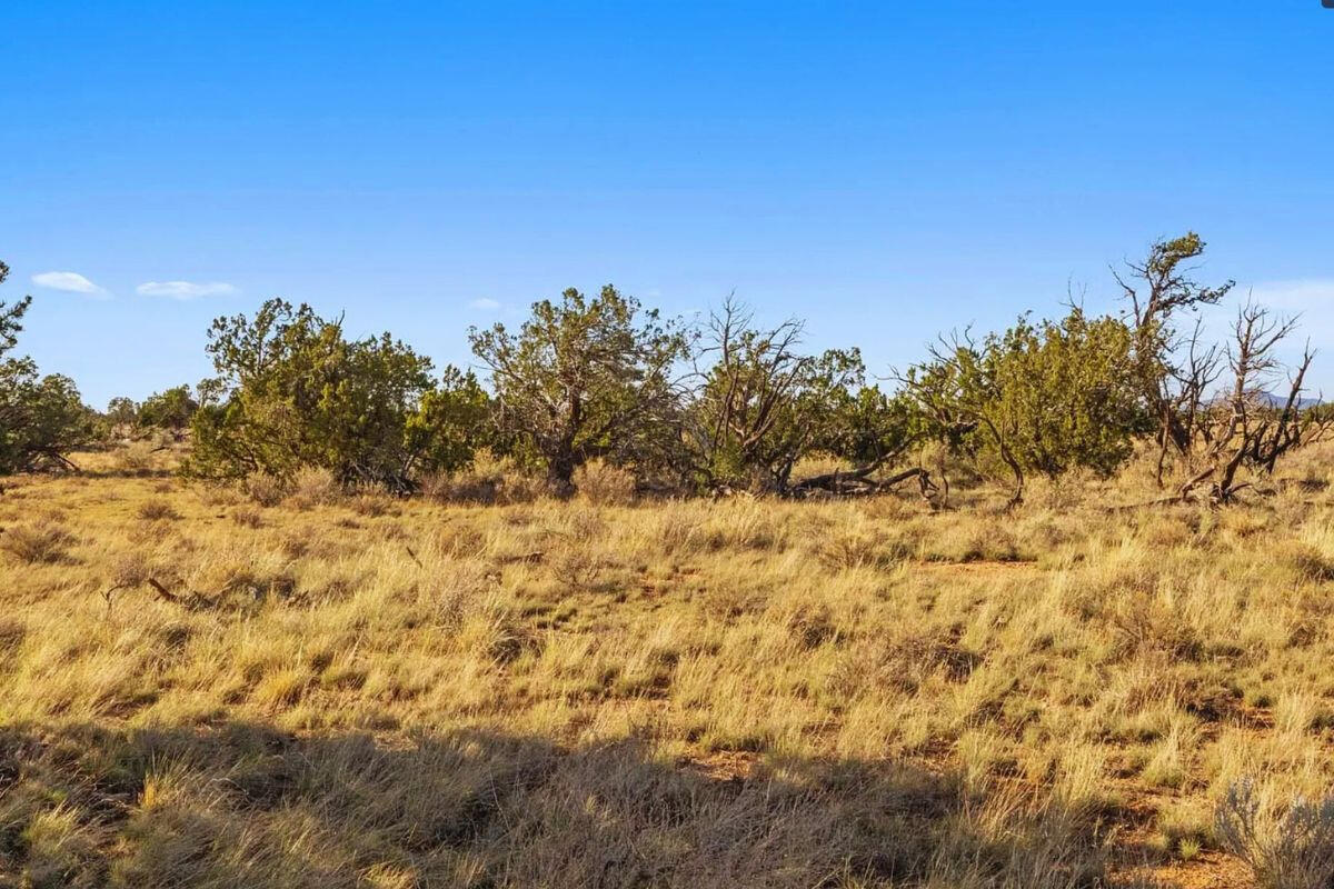 Deep 2 Trees Corner - 764 S WEDGEWOOD DR WILLIAMS, AZ 86046